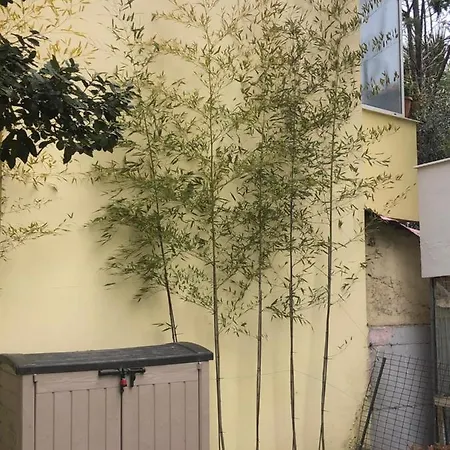 Apartment Bamboo Cosy *