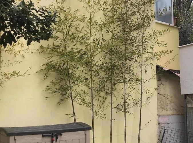 Apartment Bamboo Cosy *